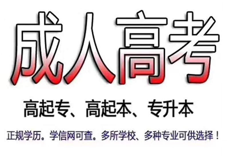 学历提升:为职场未来投资