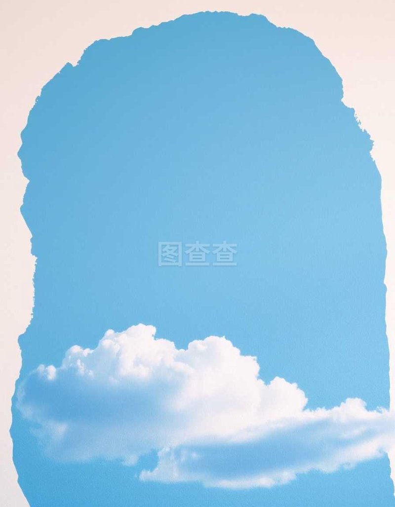 学历提升:破茧成蝶之路